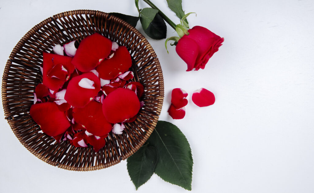 Rose Day 2026 – रोज डे में ये गिफ्ट दिया तो खुश हो जायेगा आपका पार्टनर